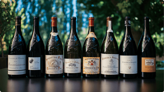 Châteauneuf-du-Pape: Desvendando a História, Terroir e Vinhos Excepcionais da Pérola do Vale do Rhône