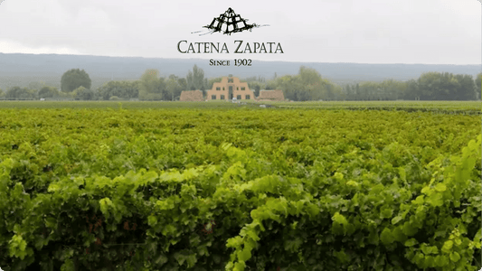 Catena Zapata, "Tradição, fama e malbec": Saiba tudo sobre a vinícola