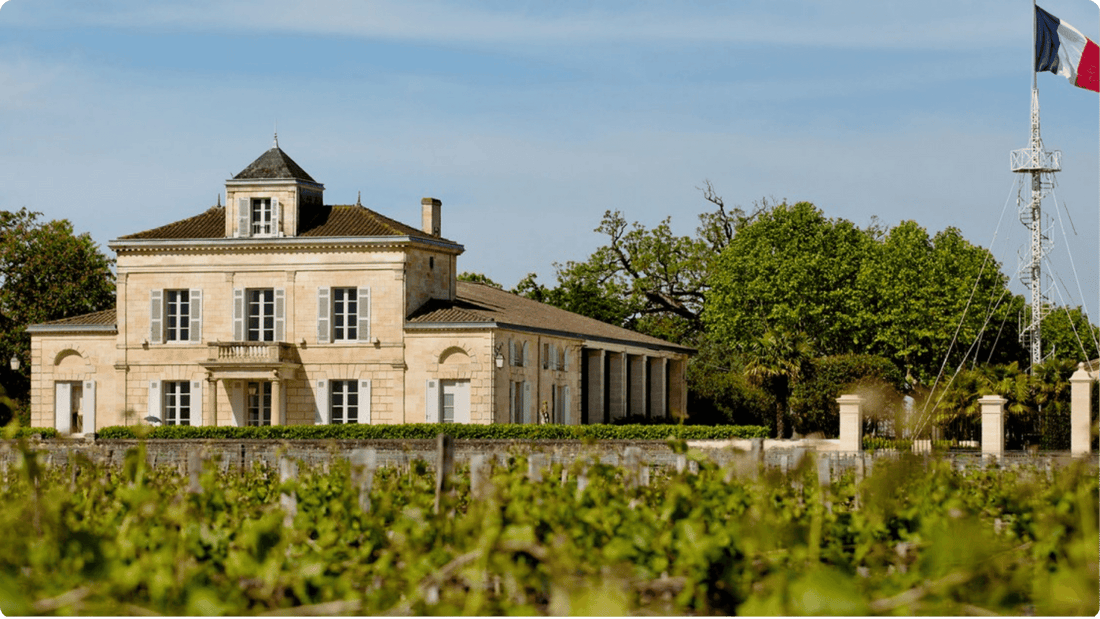 Saint-Estèphe: Os tons profundos e complexos de Bordeaux
