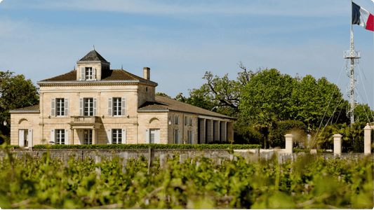 Saint-Estèphe: Os tons profundos e complexos de Bordeaux