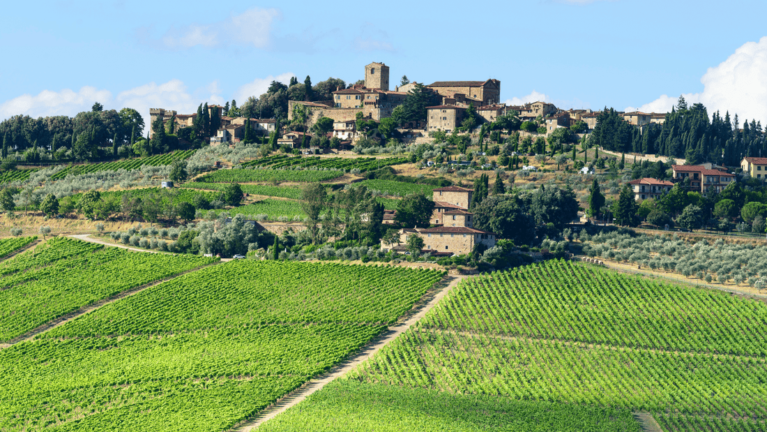 Chianti: História, Tradição, Regras e Segredos de um dos Vinhos Mais Icônicos da Toscana