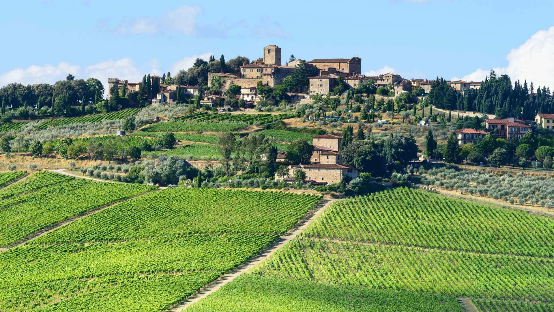 Chianti: História, Tradição, Regras e Segredos de um dos Vinhos Mais Icônicos da Toscana