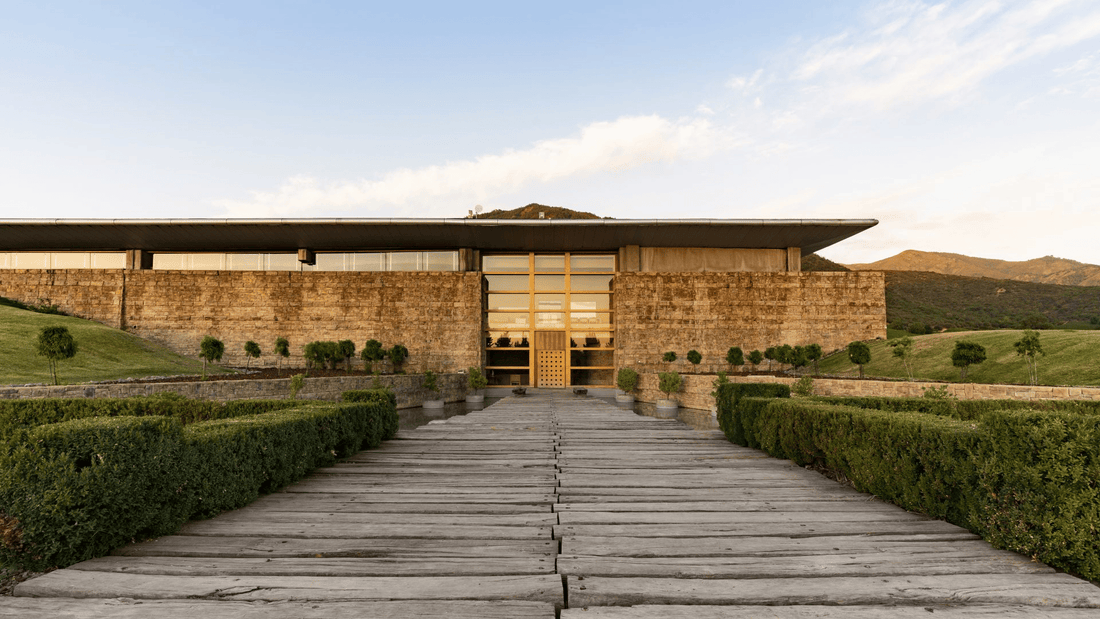 Viña Montes, História, Terroir, Principais Vinhos e Curiosidades