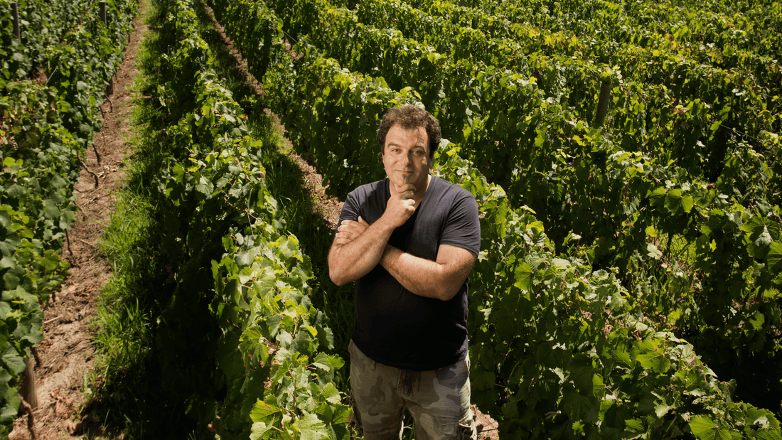 Alejandro Vigil: Quem é, História, Vinhos Icônicos e sua Influência no Vinho Mundial