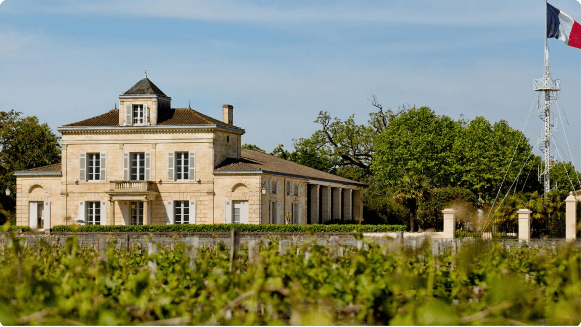 Saint-Estèphe: Os tons profundos e complexos de Bordeaux