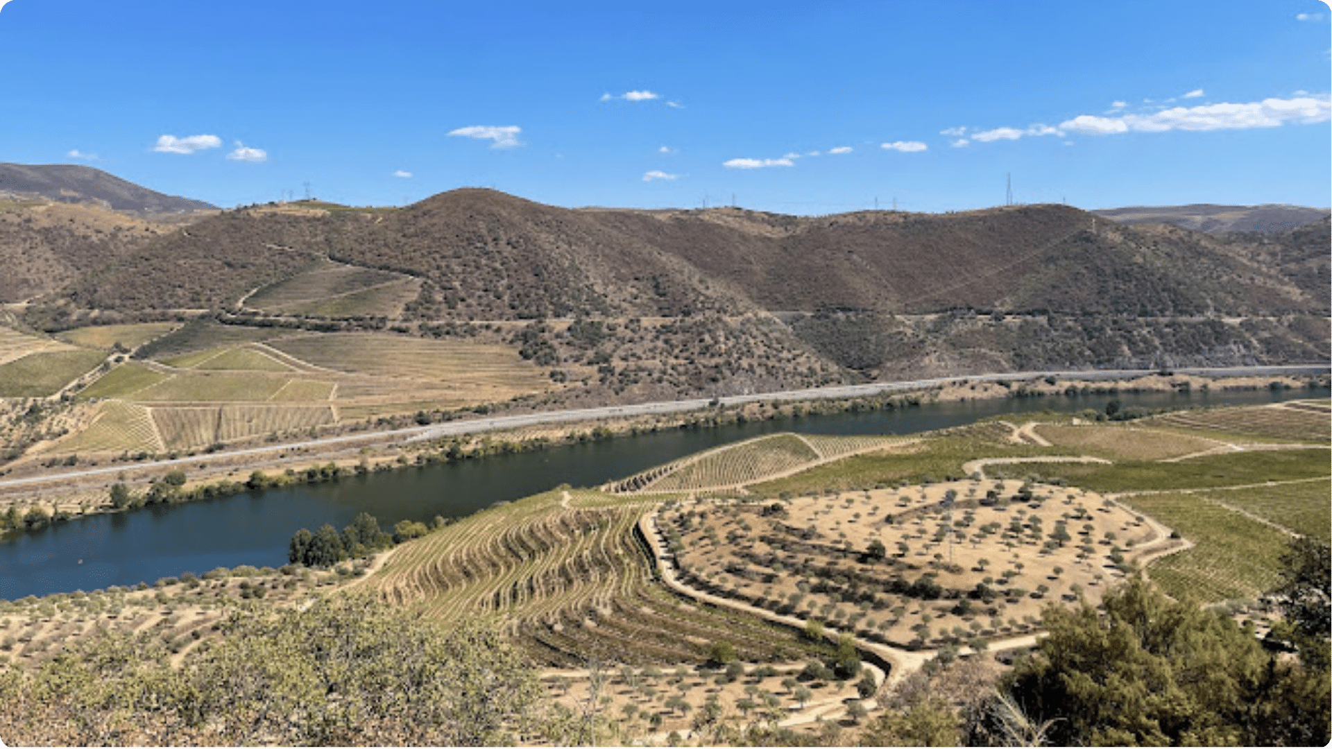 Quinta do Vale Meão