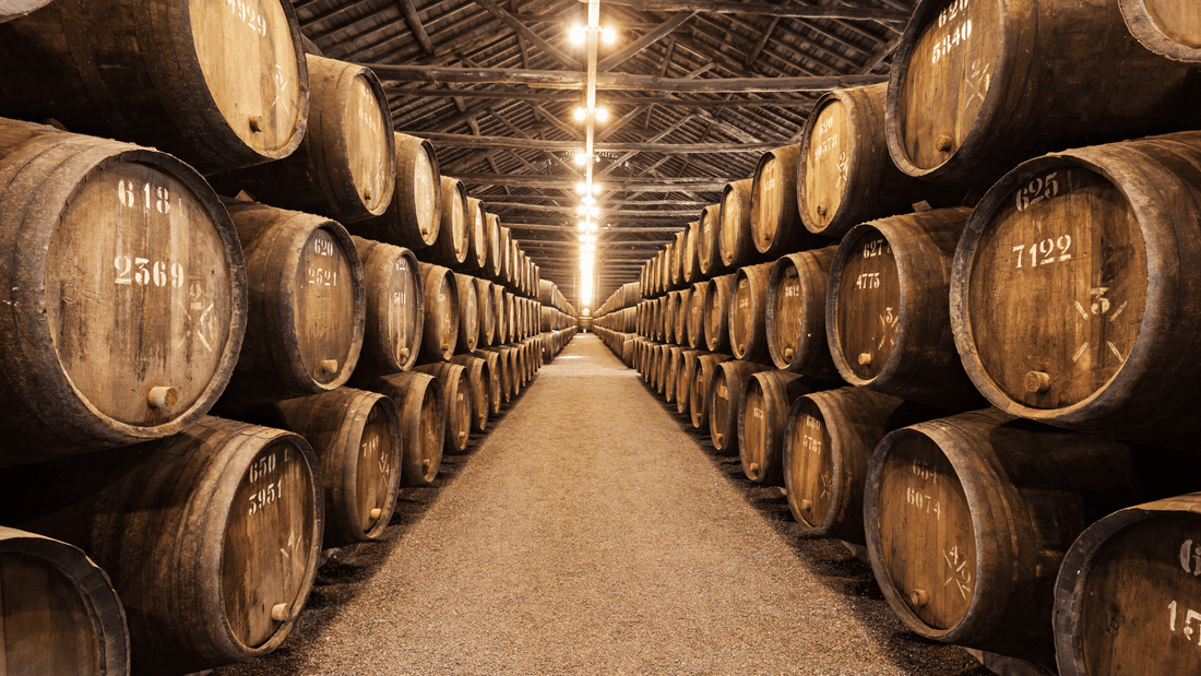Vinhos do Porto: história, estilos e o guia completo