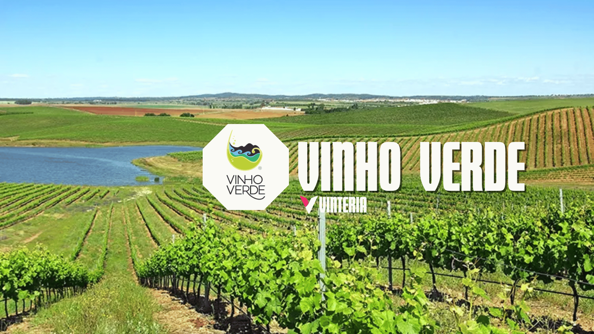 Vinho Verde: Saiba tudo sobre essa tradição portuguesa