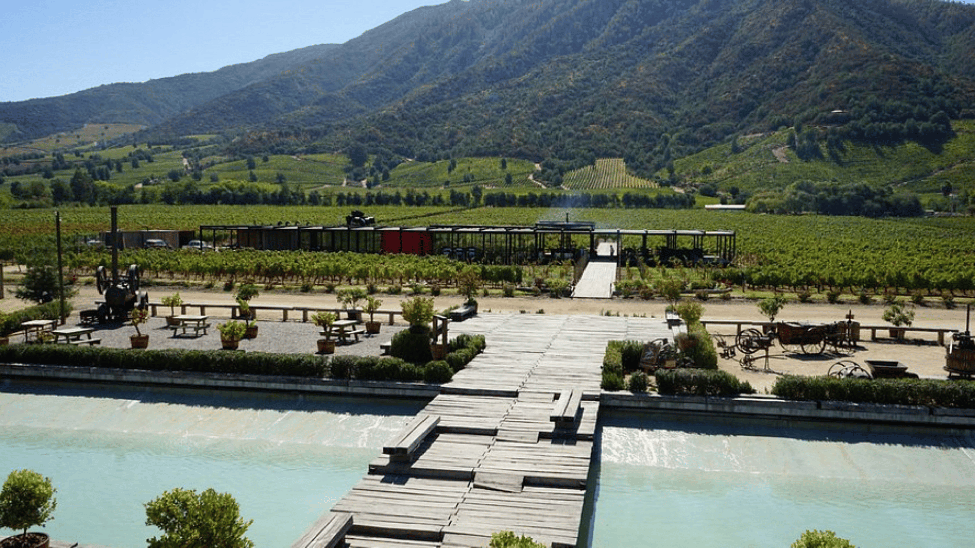 Vinã Montes