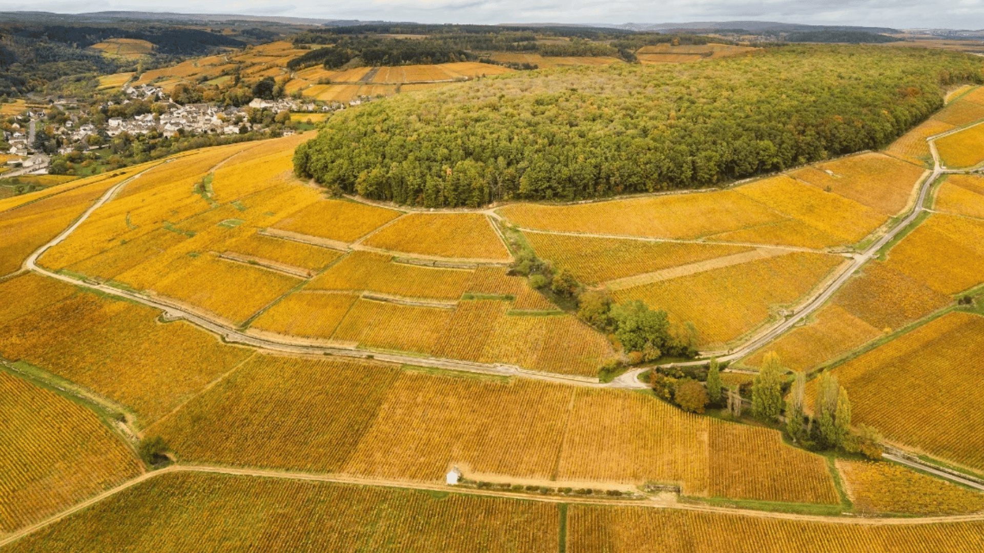 Aloxe-Corton