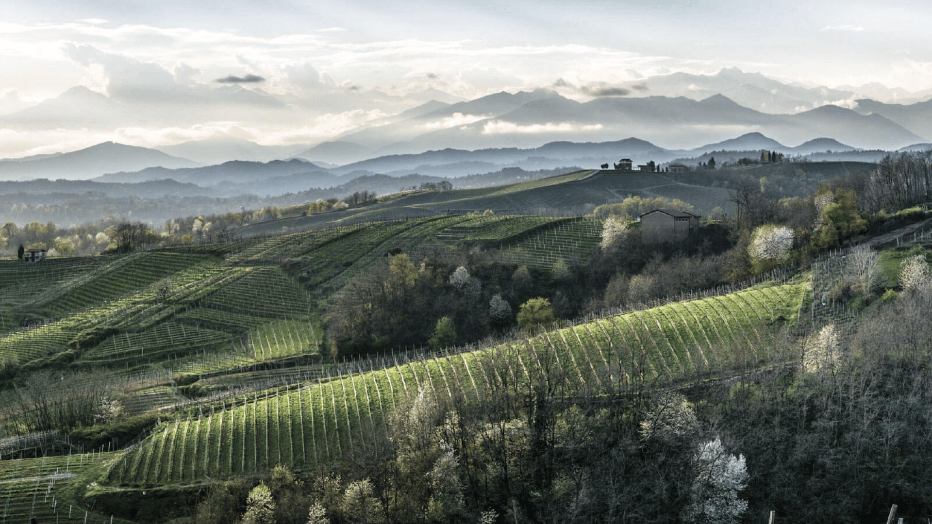 Alto Piemonte