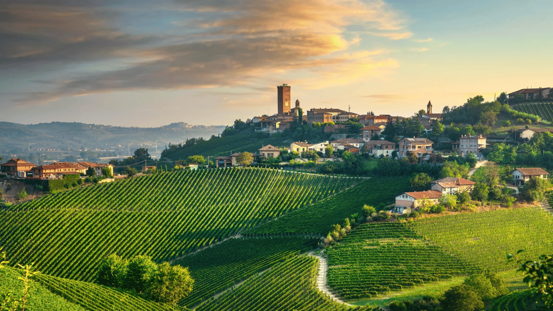 Barbaresco