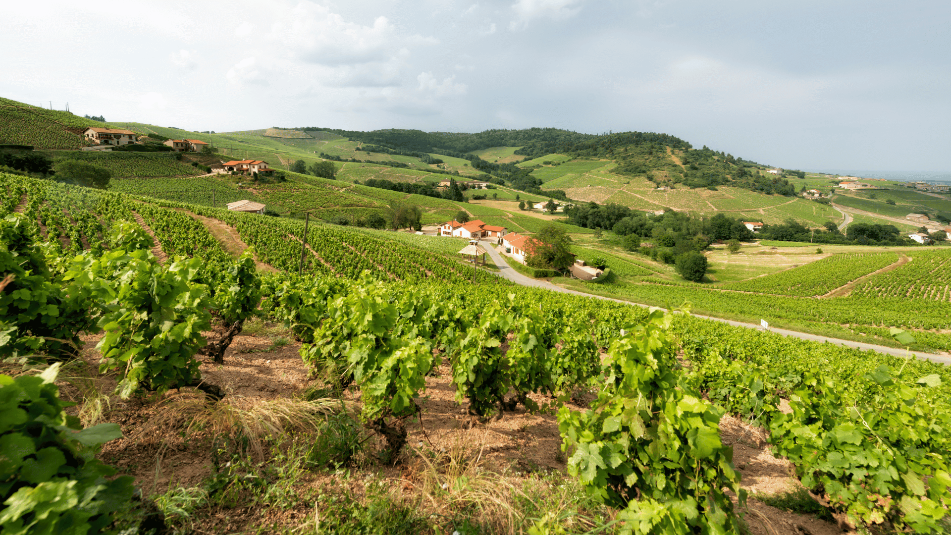 Beaujolais