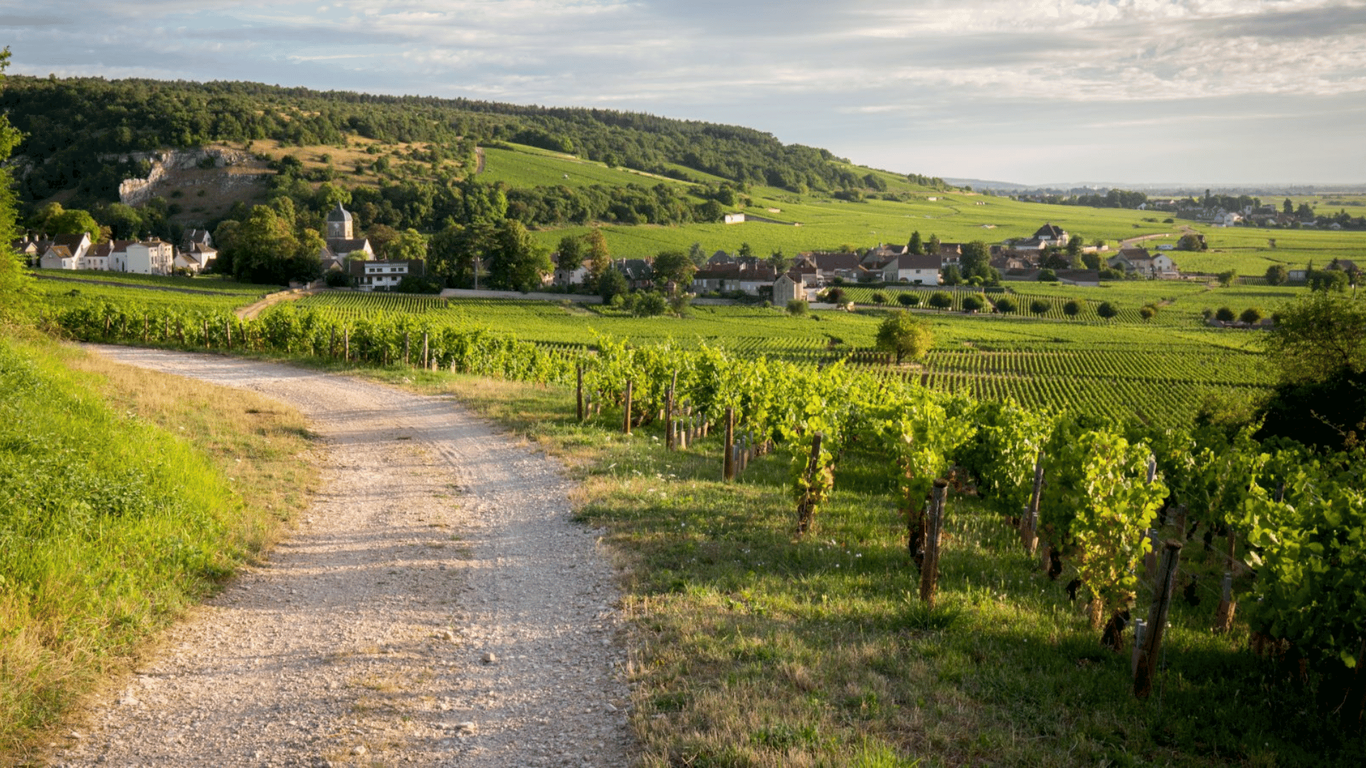 Beaune