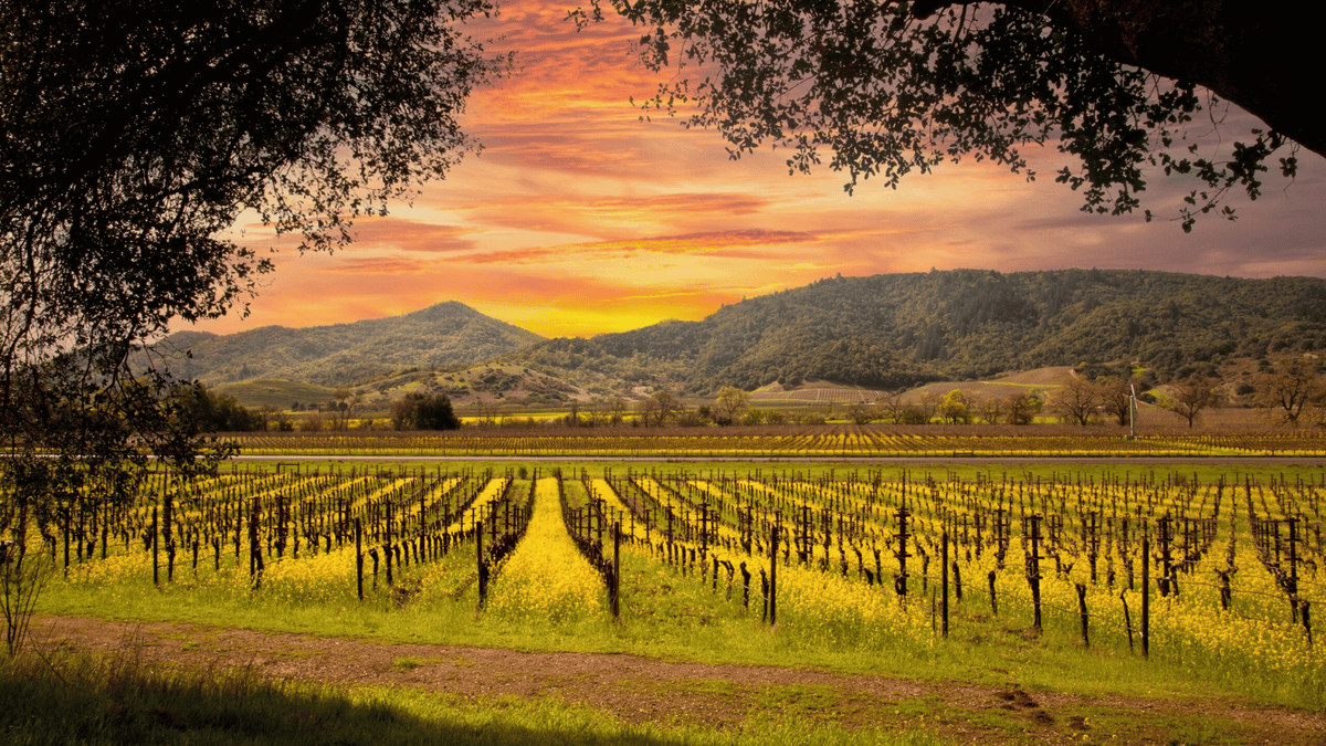 California
