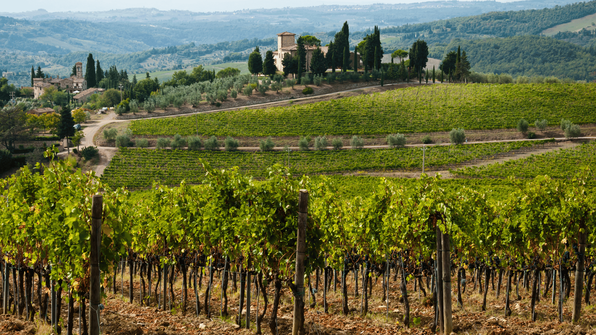 Chianti