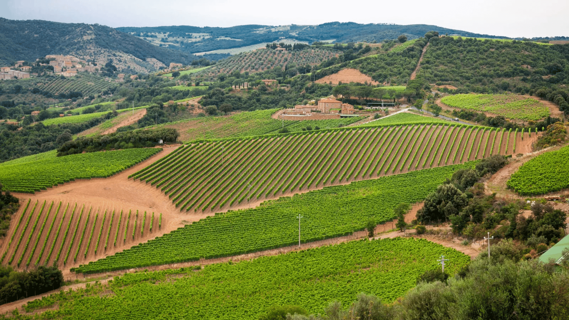 Chianti Classico
