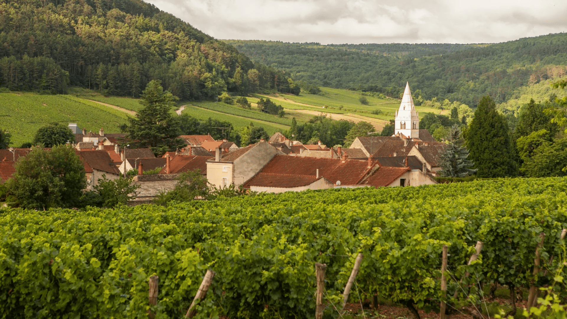 Côte de Beaune