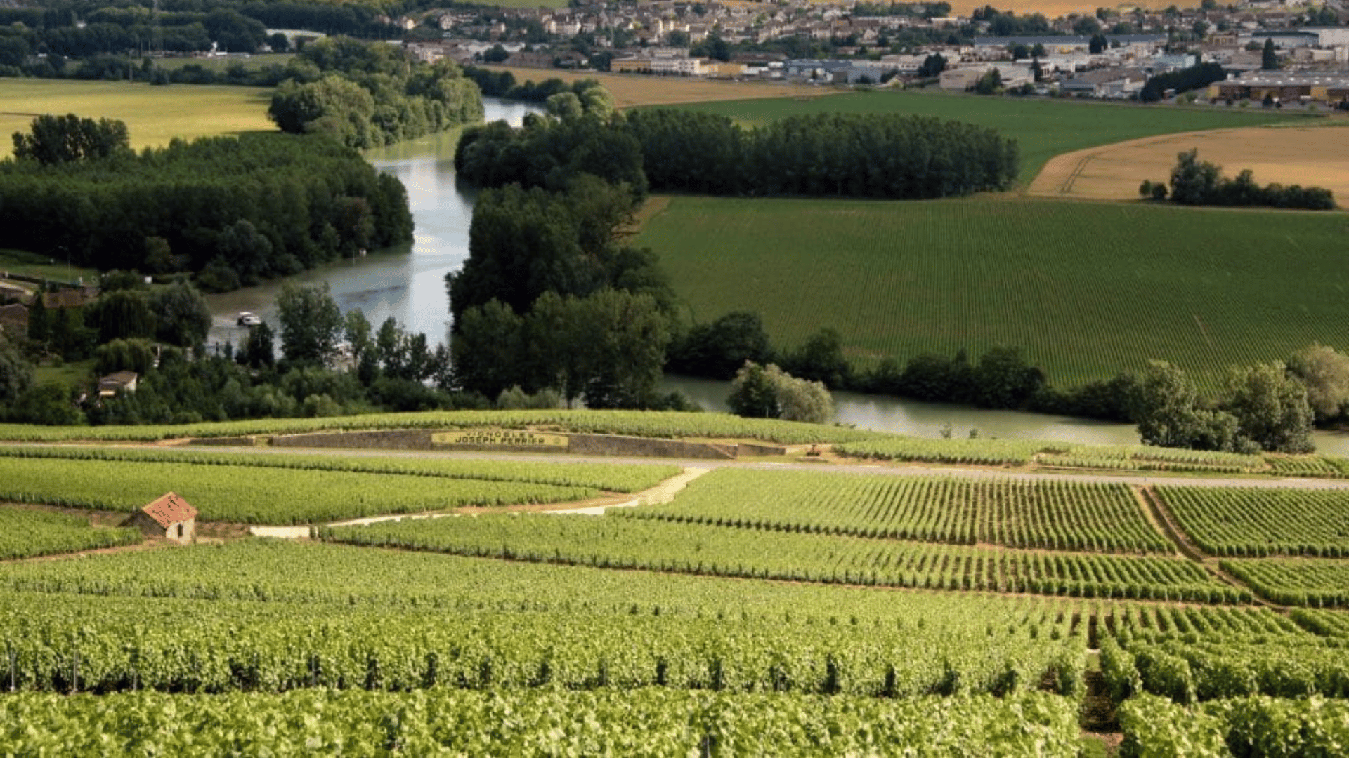 Côte de Sézanne