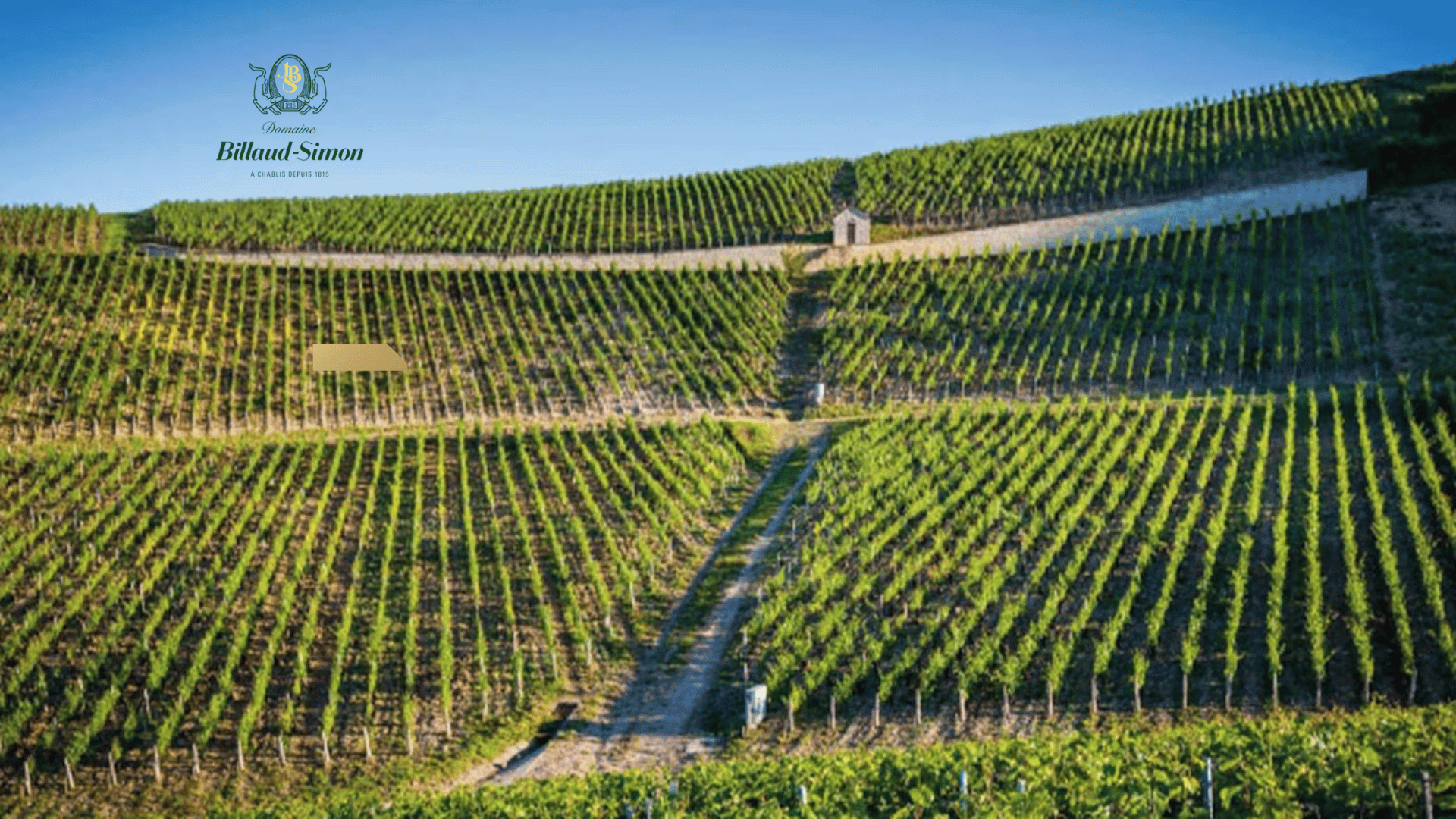 Domaine Billaud-Simon