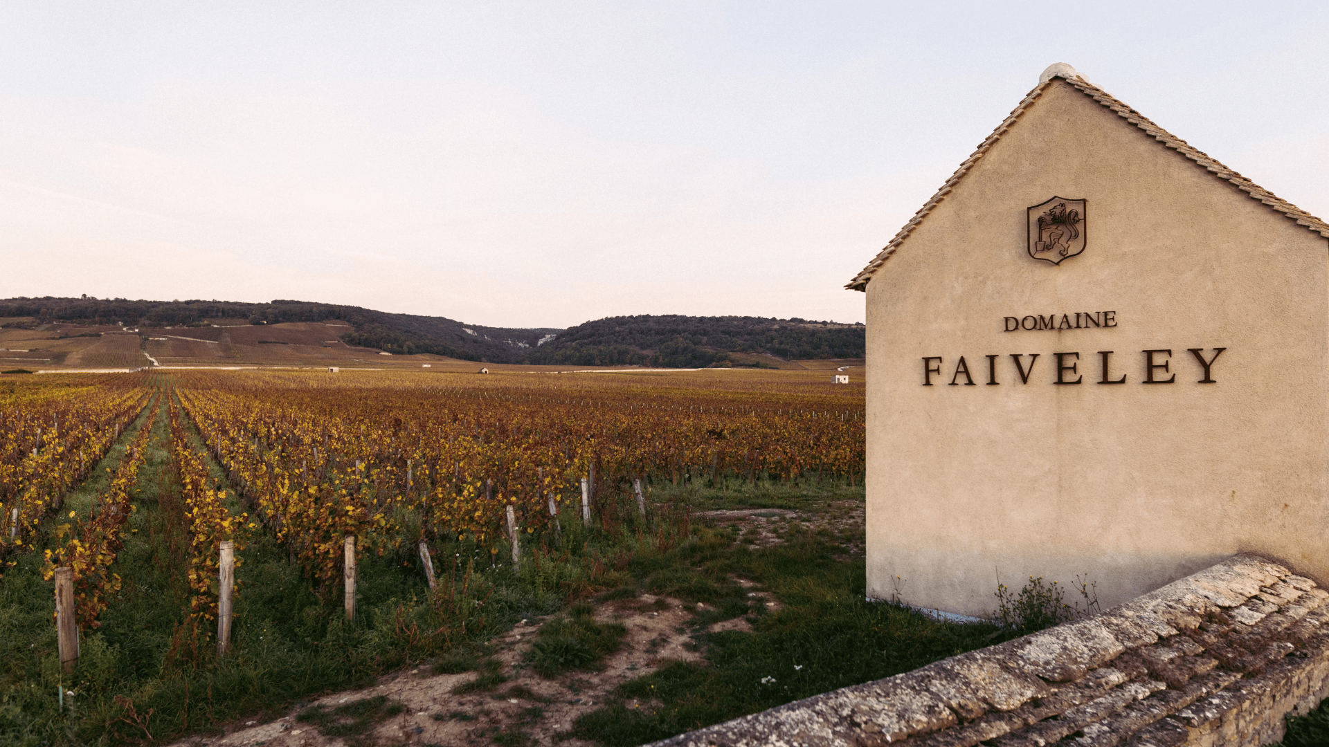 Domaine Faiveley