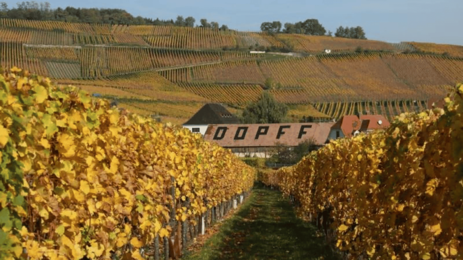 Dopff au Moulin