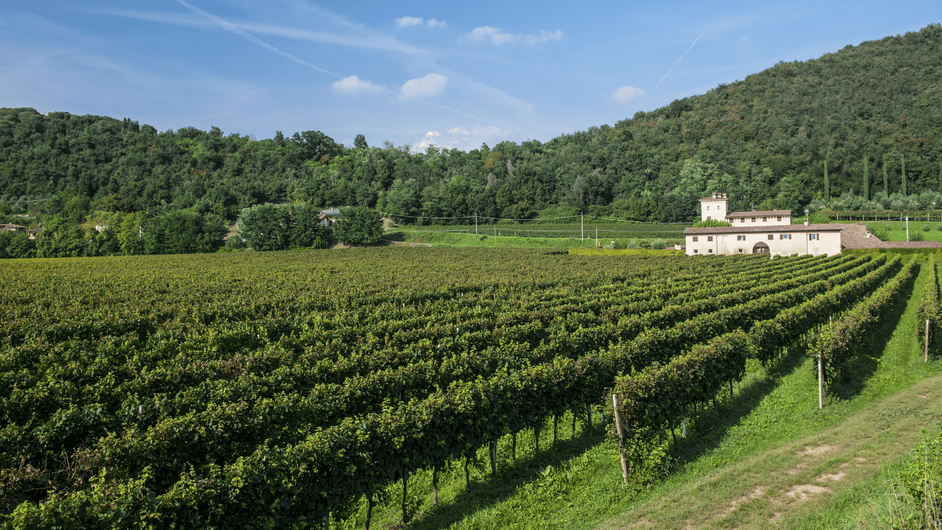 Franciacorta