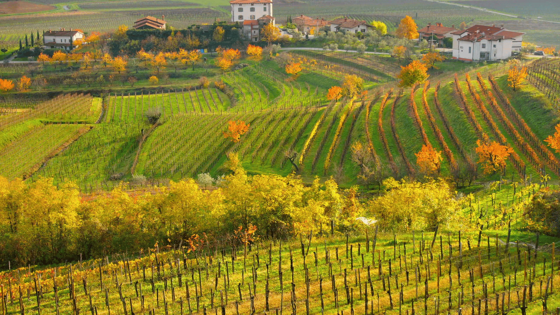Friuli-Venezia Giulia