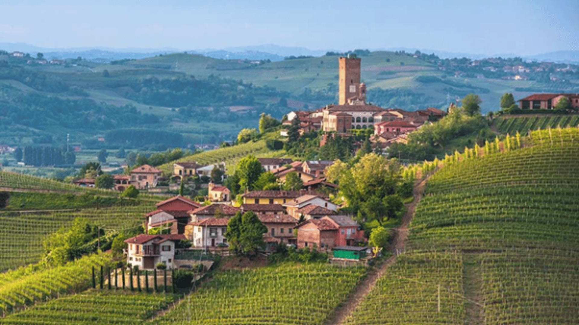 Gaja