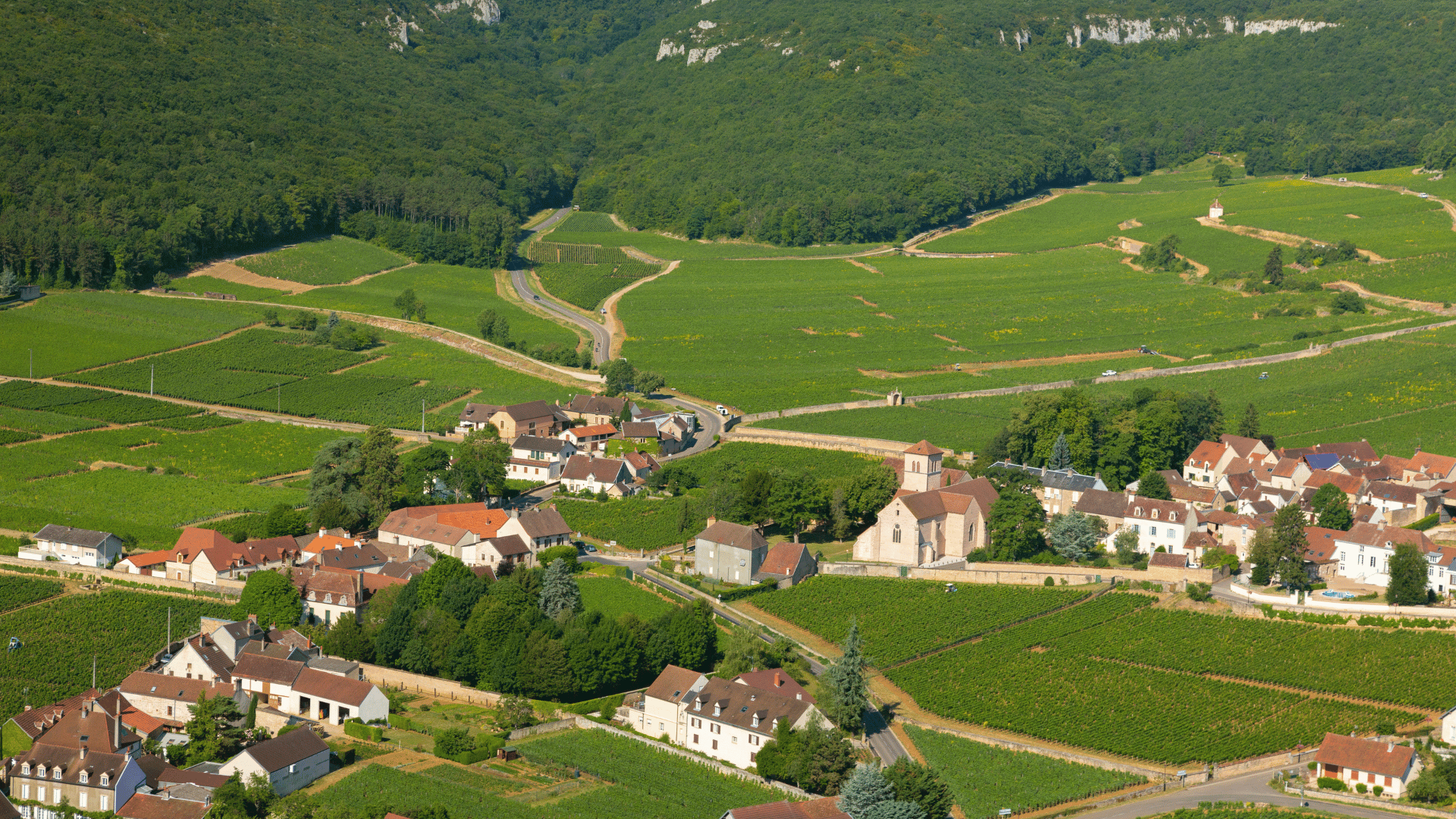 Gevrey-Chambertin
