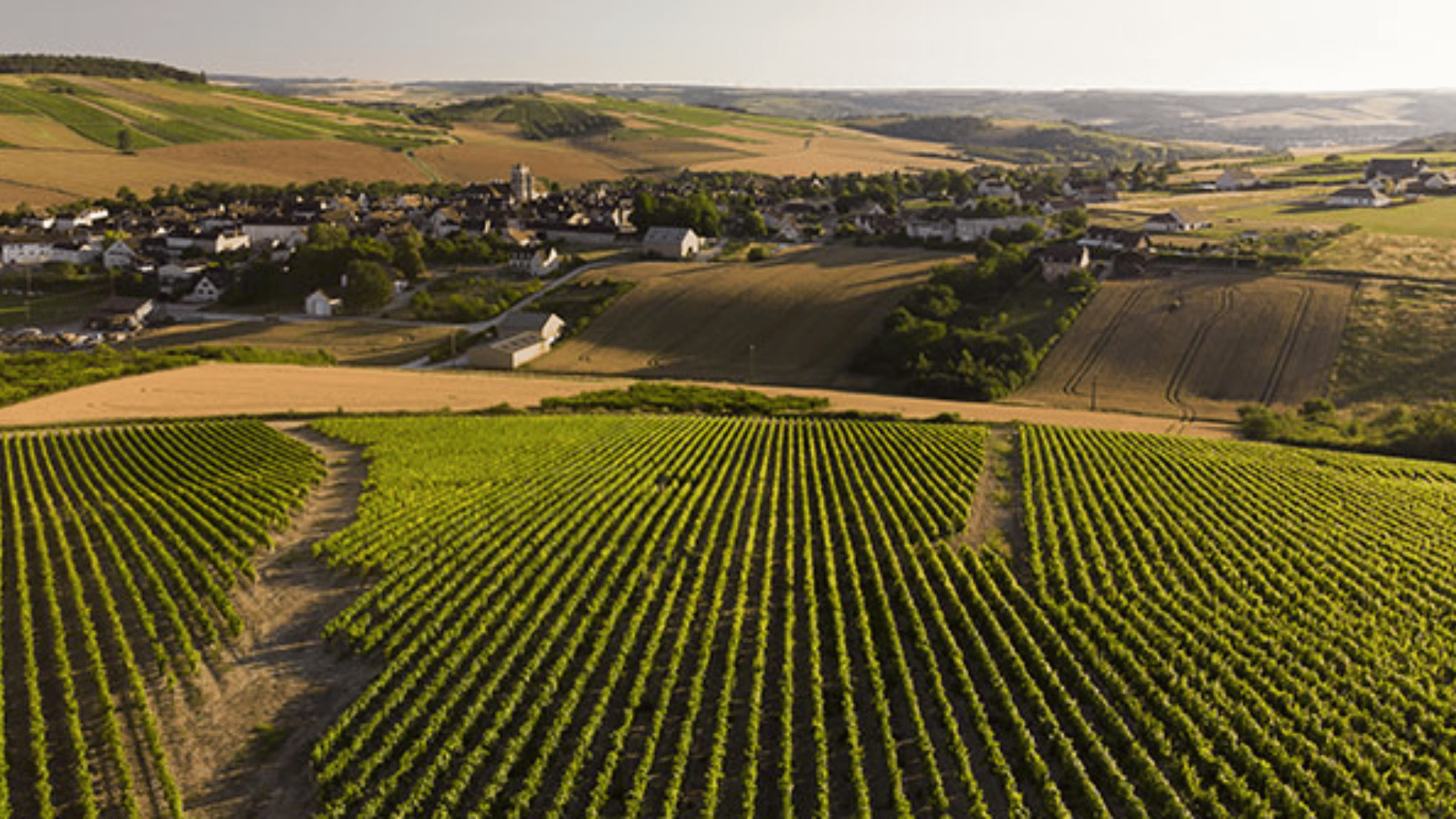 Grand Auxerrois