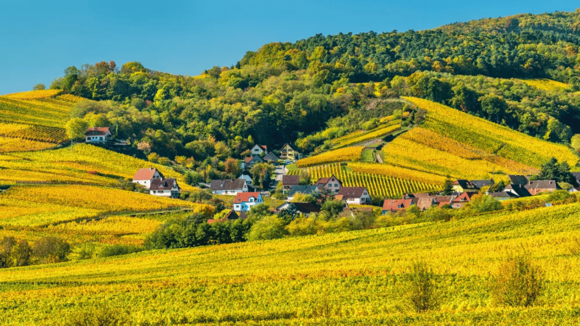 Haut-Rhin