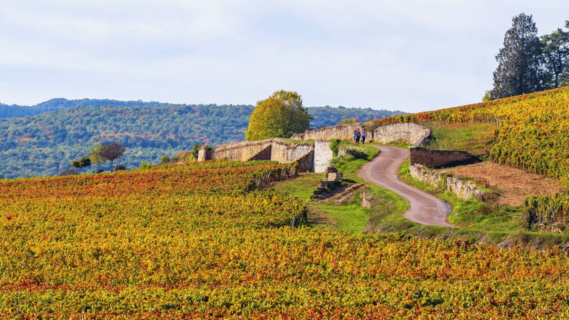 Hautes-Côtes de Beaune