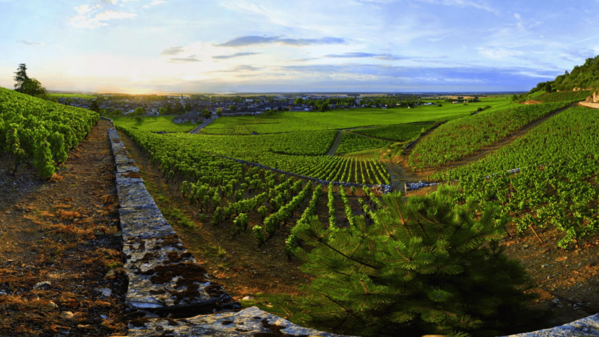 Hautes-Côtes de Nuits