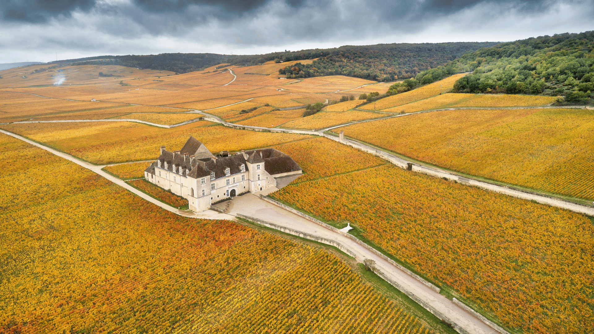 Joseph Drouhin