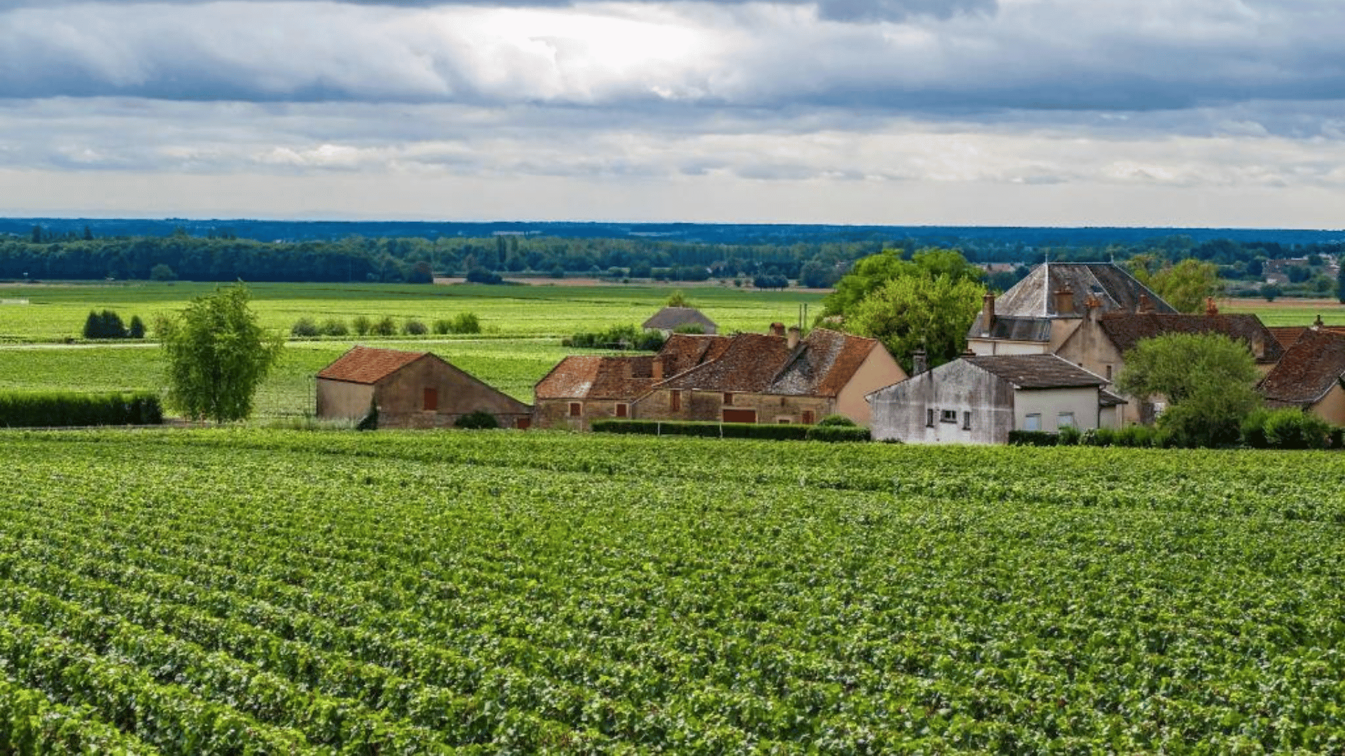 Ladoix-Serrigny