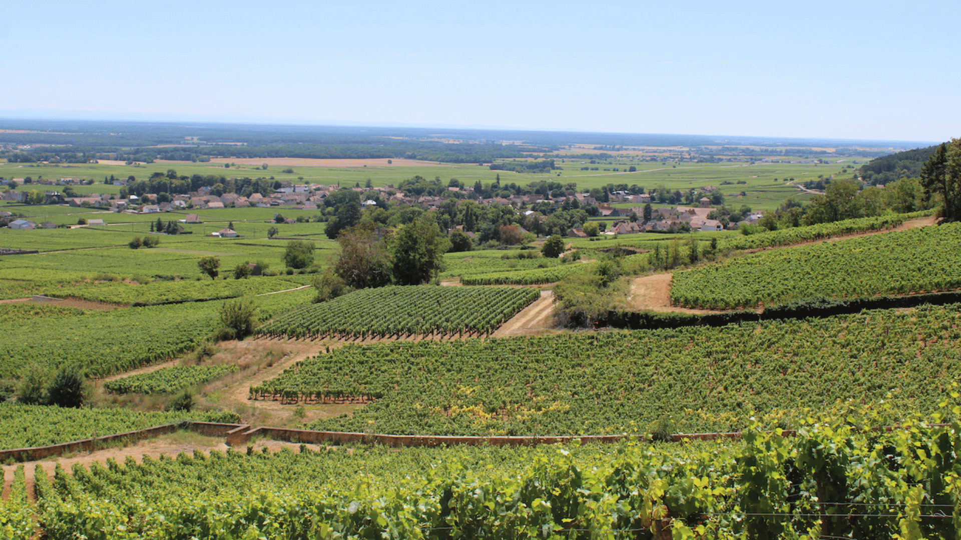 Marsannay