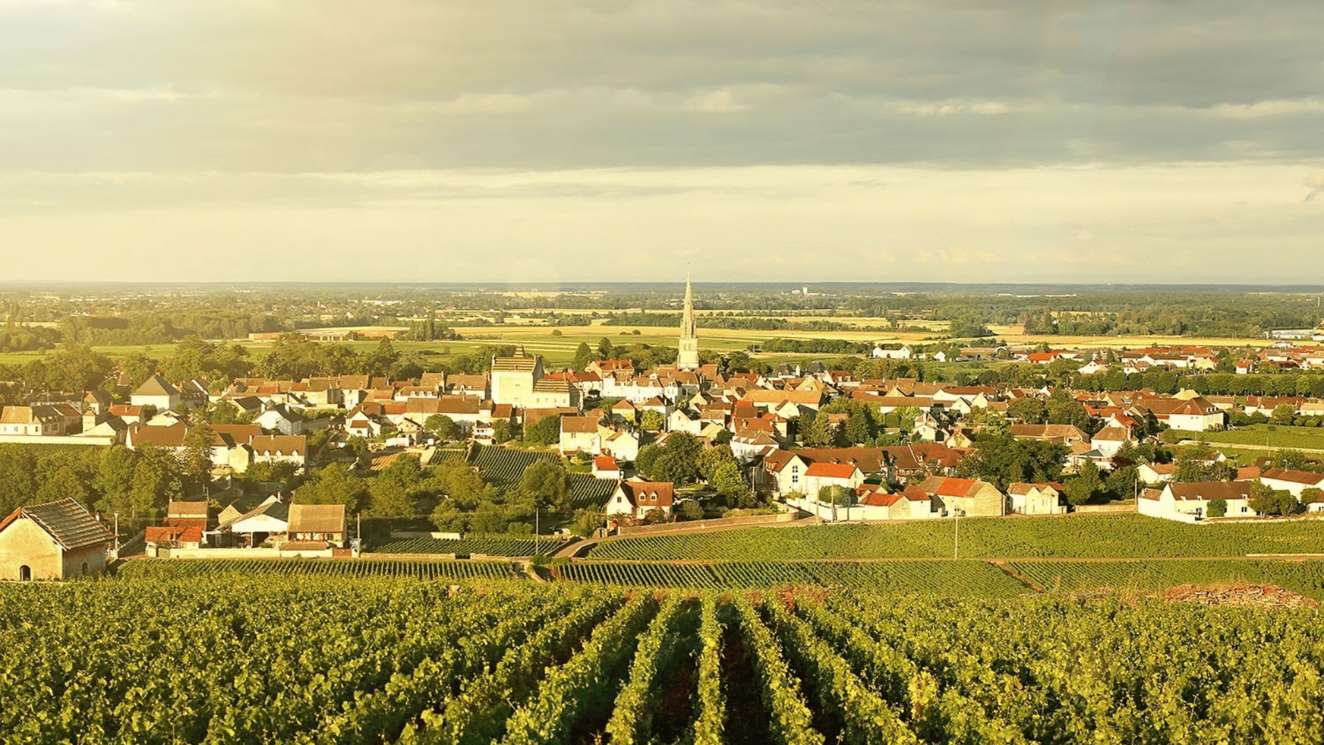 Meursault