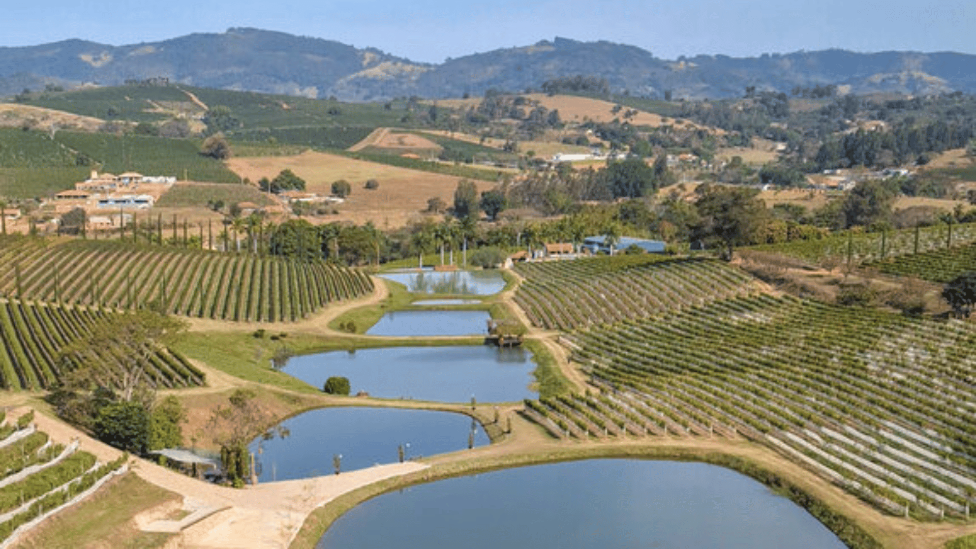 Minas Gerais