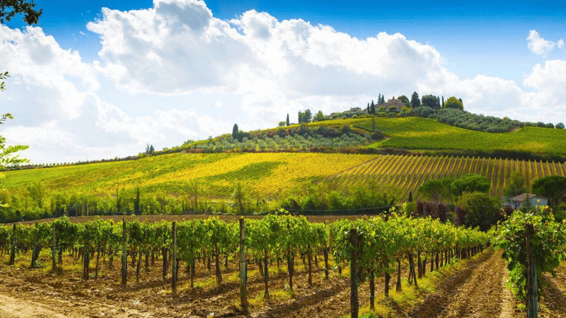 Montalcino