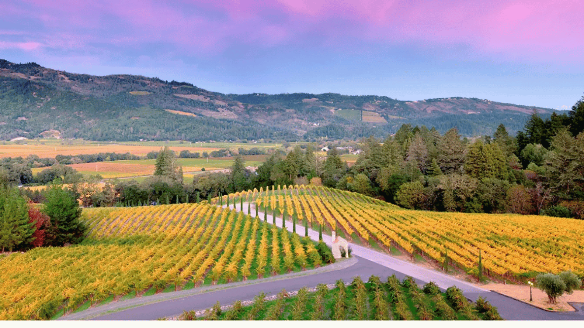 Napa Valley