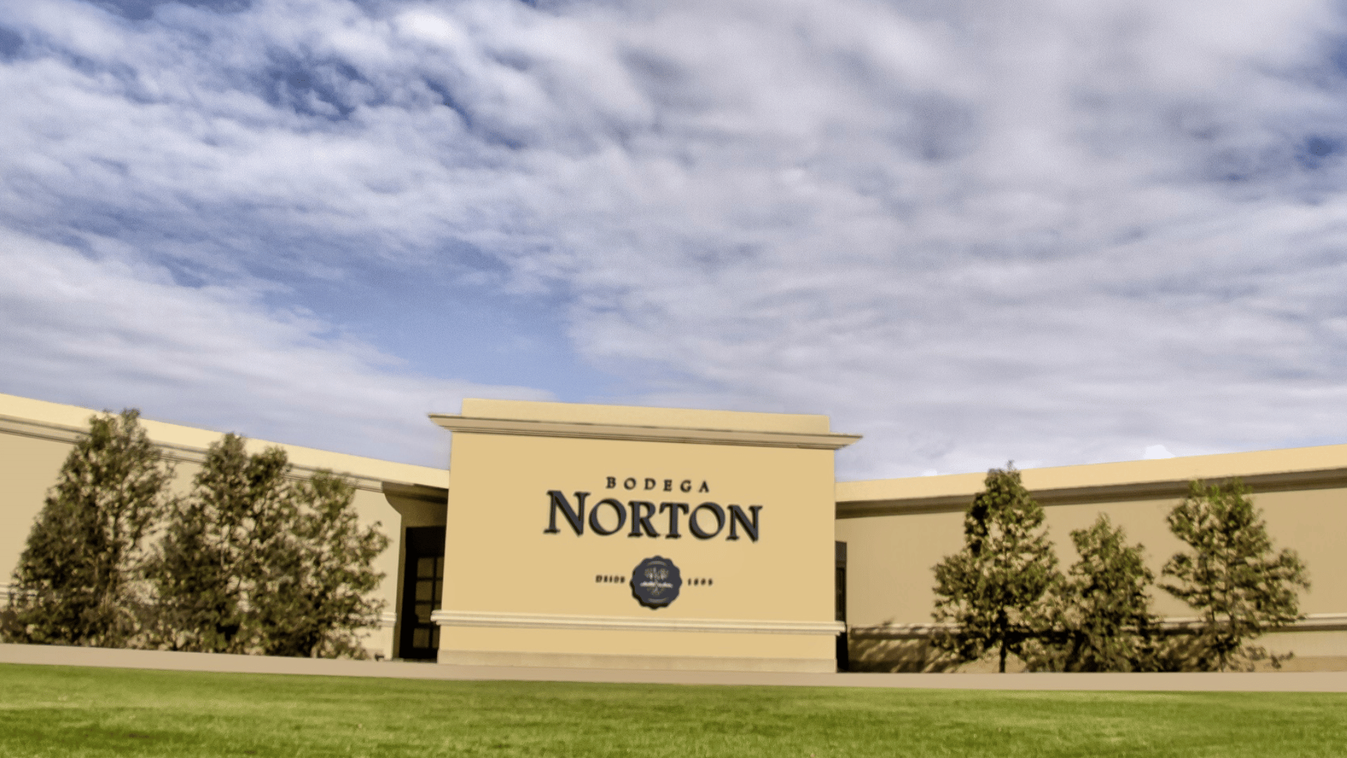 Bodega Norton
