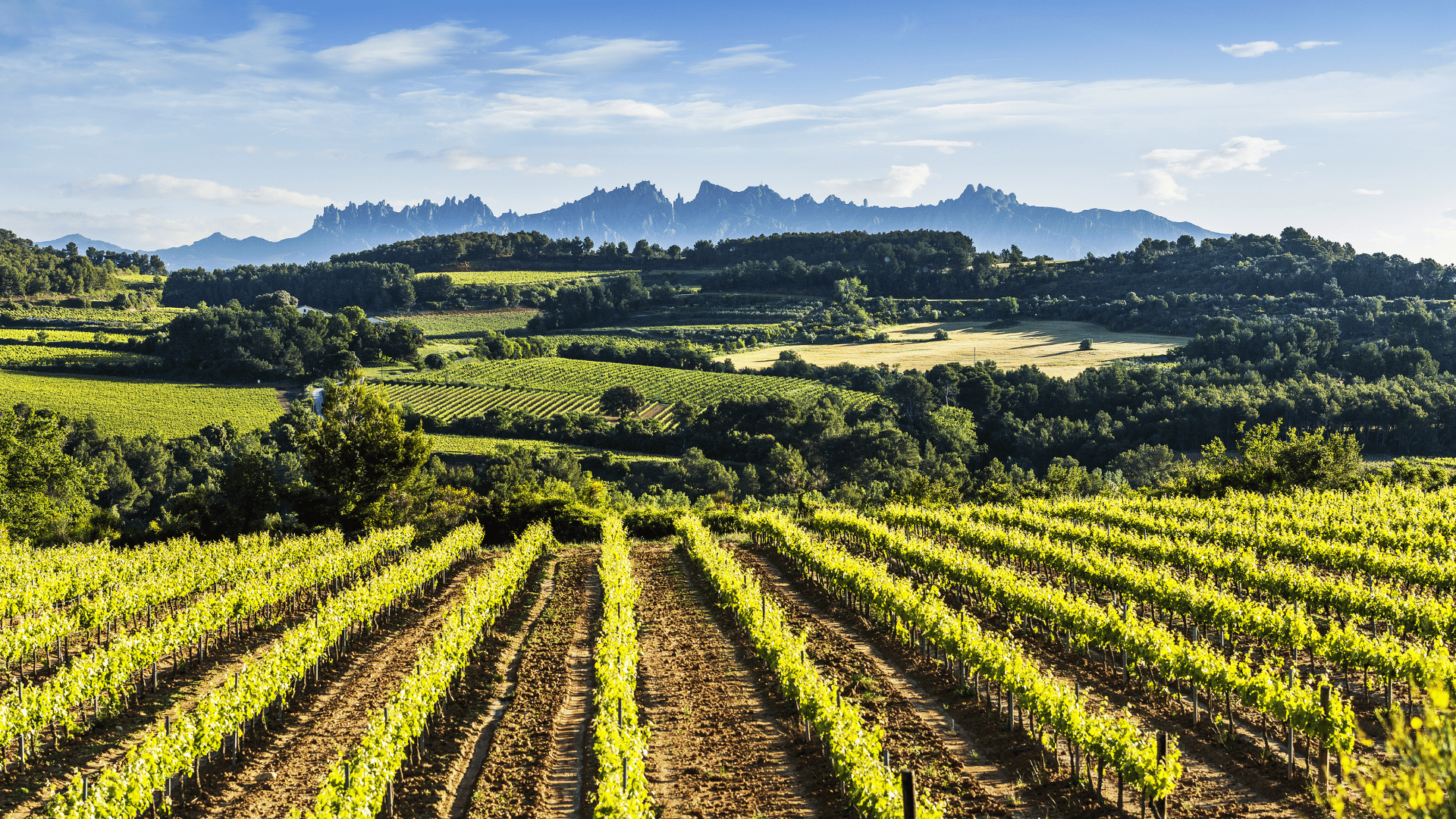 Penedès