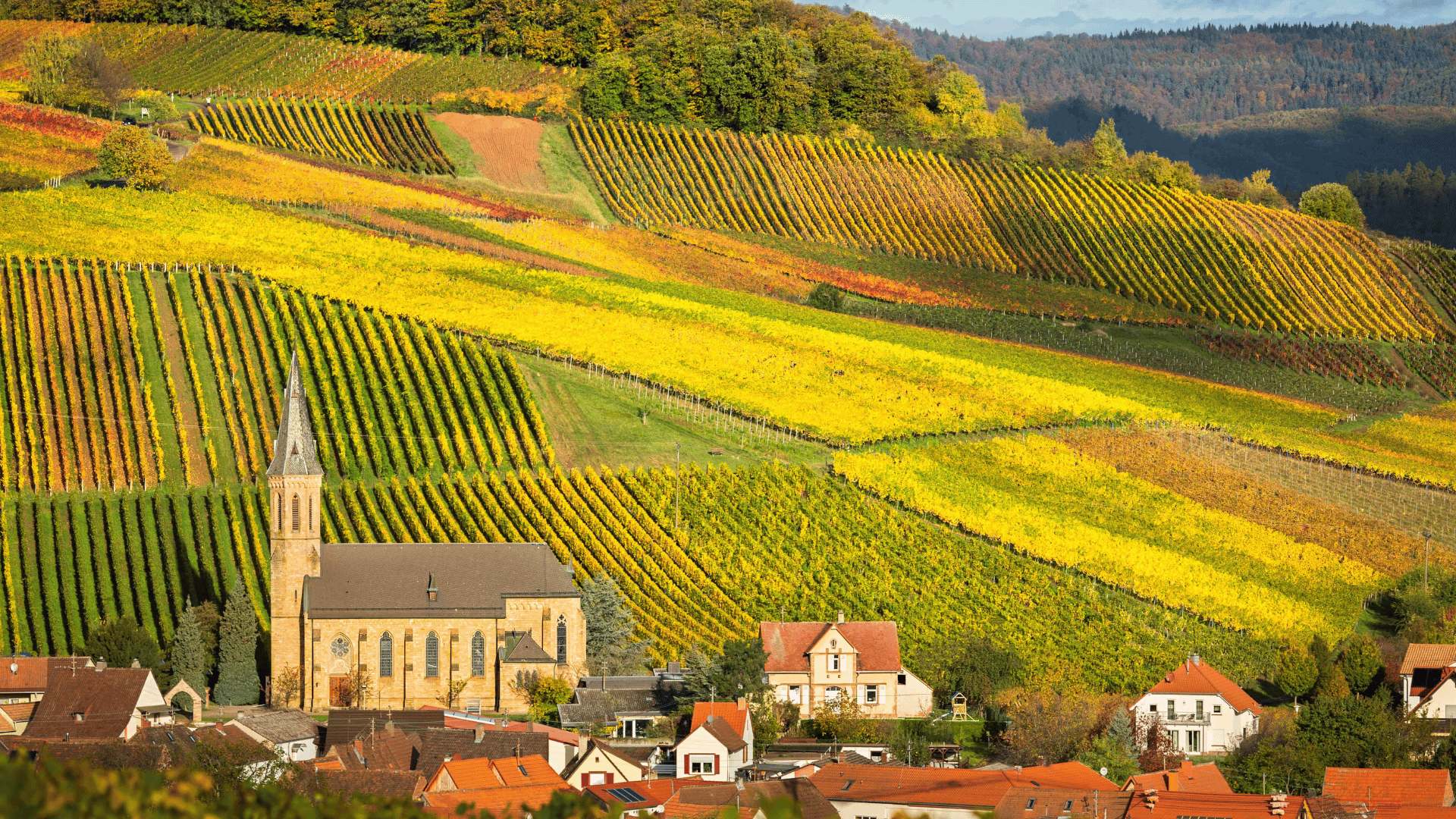 Pfalz
