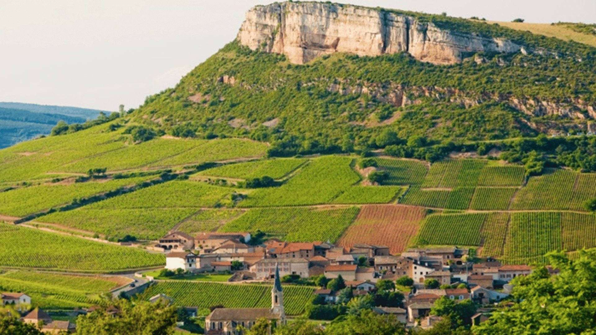 Pouilly-Loché