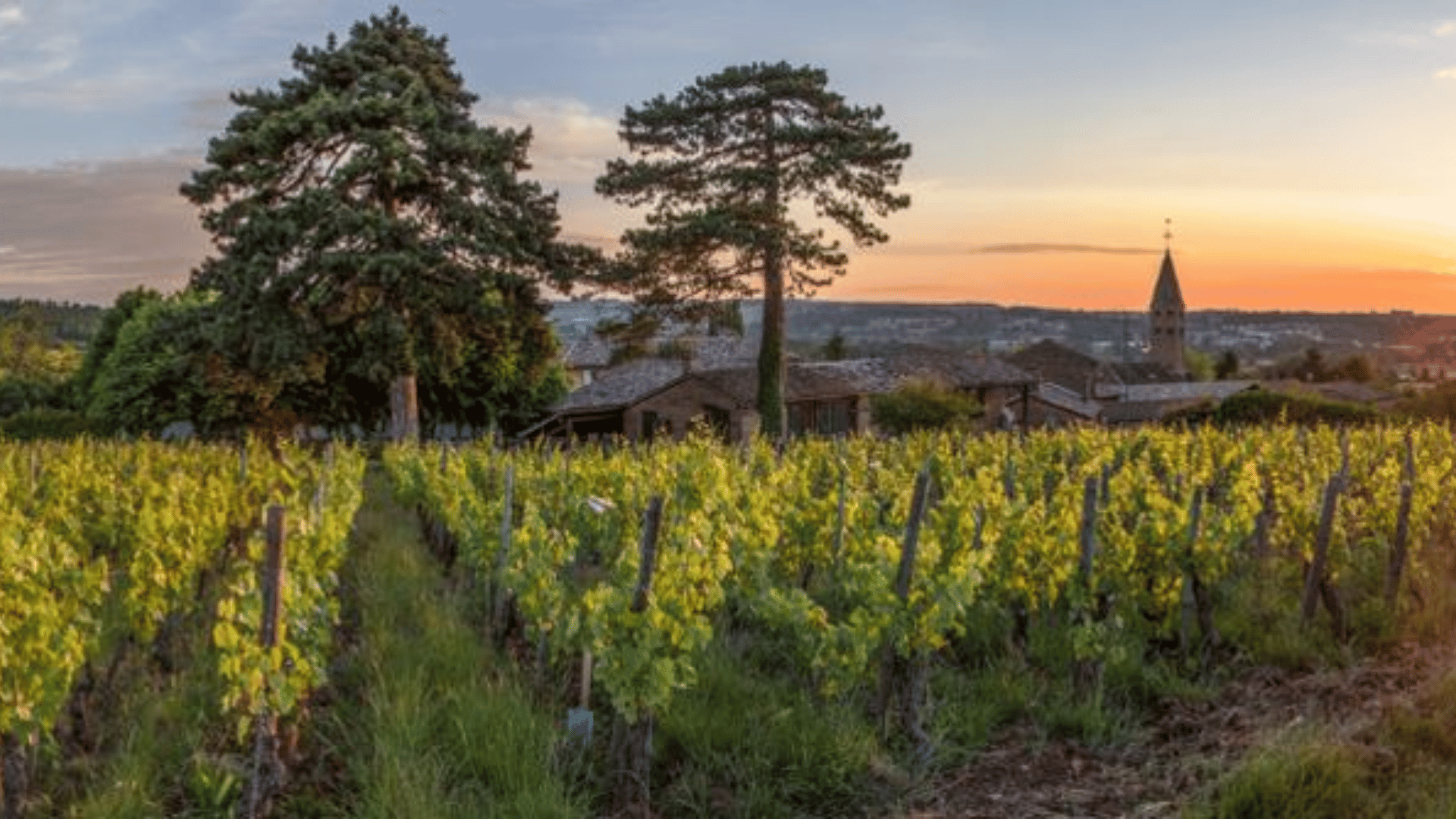 Pouilly-Vinzelles