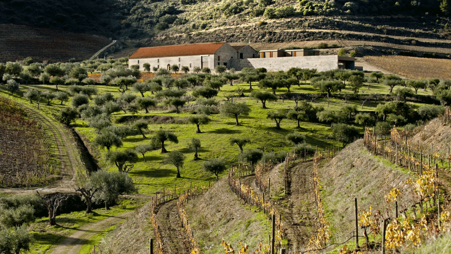 Quinta do Vale Meão
