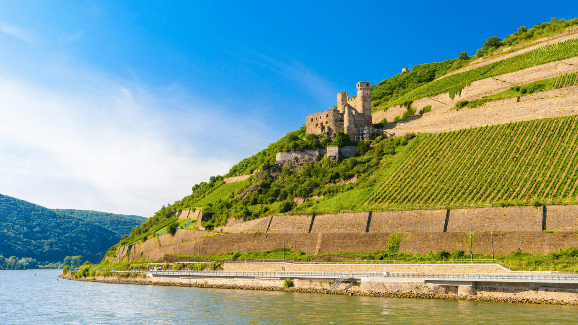 Rheingau