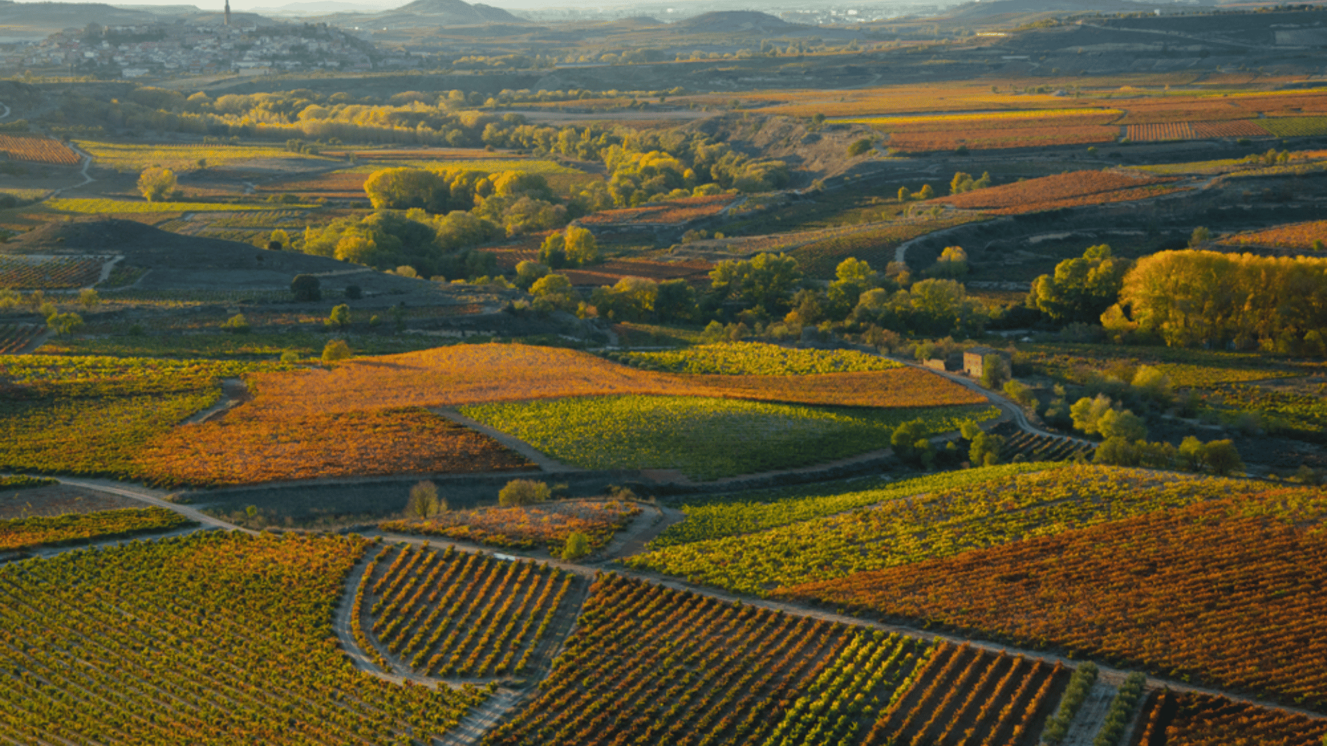 Rioja