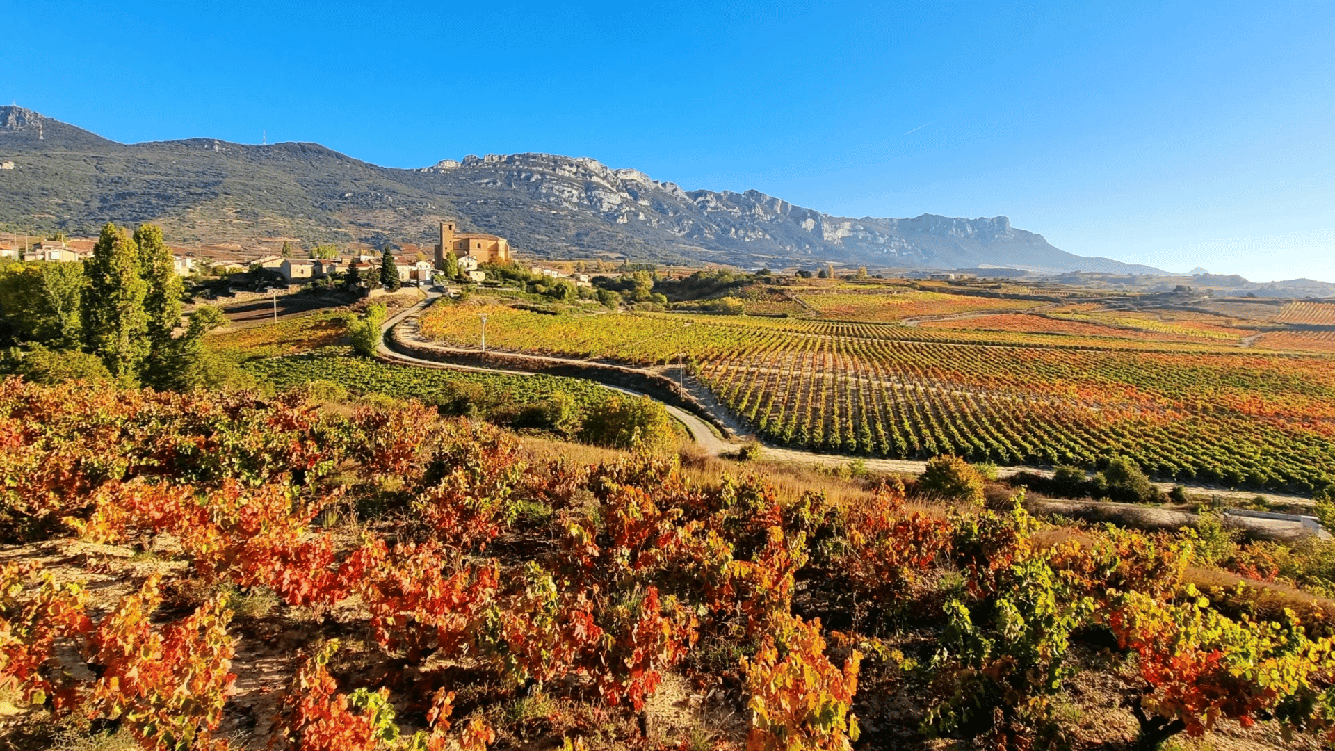 Rioja Alavesa